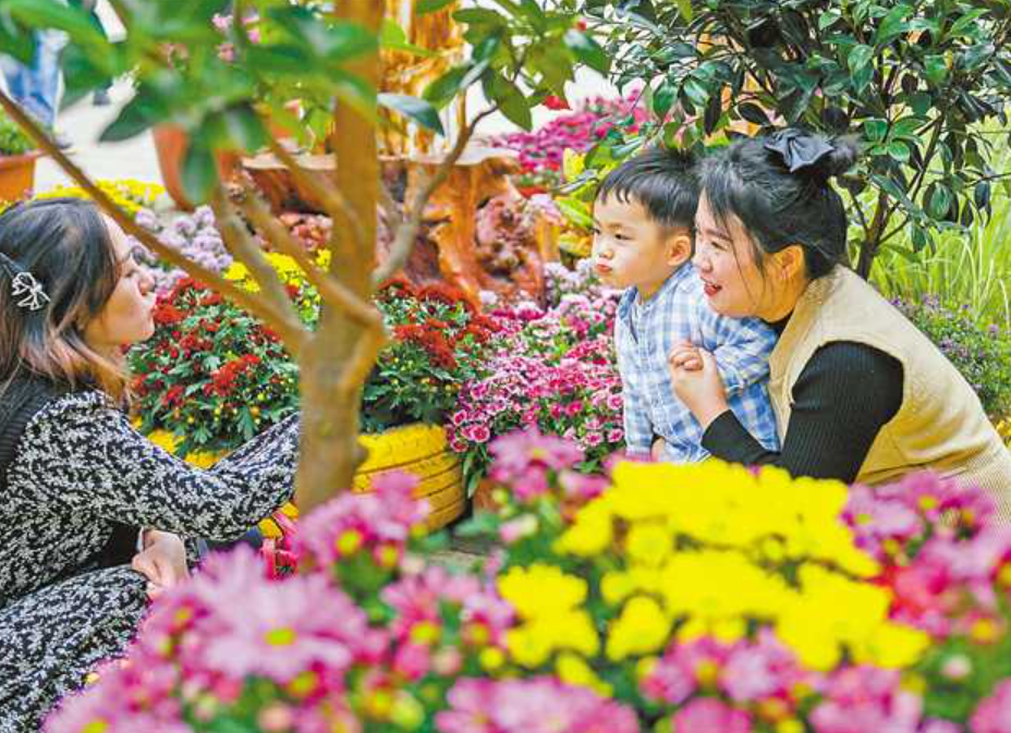 10084240_b9cd0305-7234-46be-b0ef-ceed41233d2d